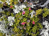 DSCN3423  A whole community