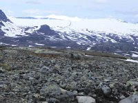 DSCN3431  We will follow that road