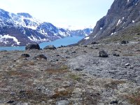 DSCN3462  Getting higher