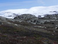 DSCN3470  Low and high albedo