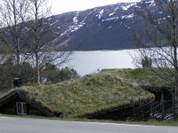 DSCN3478  Sod roofs were a feature