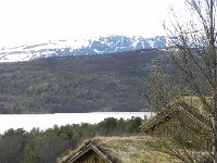 DSCN3479  But there must be something impermeable beneath the sod