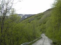 DSCN3493  On the way back down, the landscape turns from B&#38;W to Green.