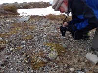 IMG 1465  Beyond the trees here and without a lot of sun - what to do?