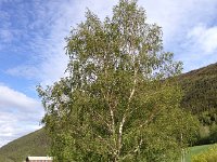 IMG 1478  and including its surroundings