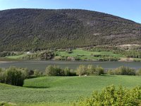 IMG 1479  views across the lake/river