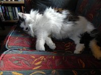 DSCN3495  we left behind certain parties