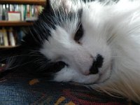 DSCN3496  They seemed not at all concerned