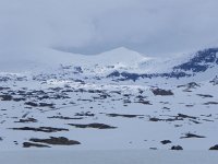 DSCN3530  Further along before