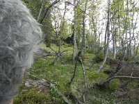 DSCN3563  Christine really wanted to see a moose. Isn&#39;t this moose country?