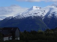 DSCN3599  Landscape detail