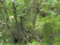 DSCN3644  Verdant vegetation as we disembarked and drove south