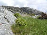 DSCN3649  and we took a short break