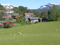 DSCN3693  We headed to the trailhead, past the sheep