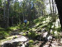 DSCN3695  Our goal was Hellandsnuten, a mere 860 meter peak above the town.