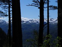 DSCN3696  Of course 850+ meters is vertical no matter what altitude.