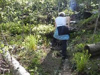 DSCN3699  It was definitely up