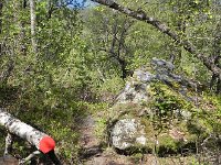 DSCN3700  Trail markers