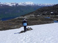 DSCN3727  WE occasionally found blazes