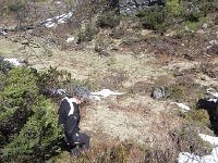 DSCN3729  such as here