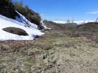 DSCN3730  The boggy surface did not make it easy