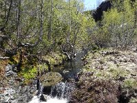 DSCN3731  But it was pretty