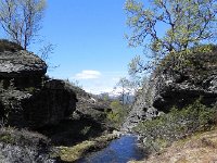 DSCN3732  Water, water everywhere