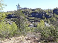 DSCN3737  Not the North Face, but still not easy to bushwhack