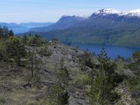 DSCN3747  Beautiful!