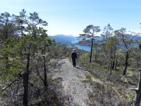 DSCN3751  Below treeline