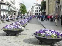 DSCN3839  The pedestrian shopping area