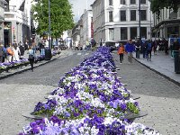 DSCN3840  with big planters