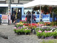 DSCN3845  added splashes of color