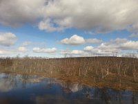 20150606 103312  Water and wind turbines.