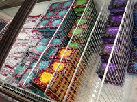 IMG 1431  Then we went shopping. There were lots of berries here too!