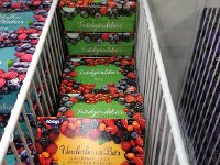 IMG 1434  Mixed berries