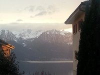 20150303 180938  Phragmities catching the setting sun in Pallens