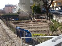 20150307 150051  March 7 - super-clean garden below old town