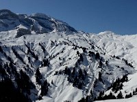 20150323 111503  Shadows