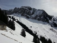 20150308 124451  Rochers de Naye from Chamossale