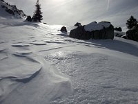 20150308 145119  We had had a warm storm earlier...