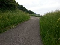 20150514 170230  14 May The grasses are thick