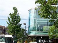 20150516 094135  16 May - Searching for seedings in Vevey