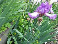 20150516 121905  Documenting