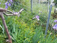 20150516 121920  Documenting