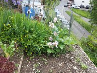 20150516 122005  Documenting