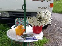 20150516 161510  Self-service bouquets in Les Avants