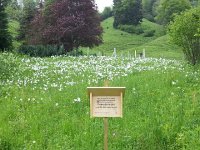 20150516 161741  No picking!