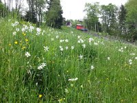 20150516 162341  Funicular docking at the top