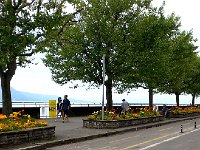 20150517 130755  where the flower beds are popping!